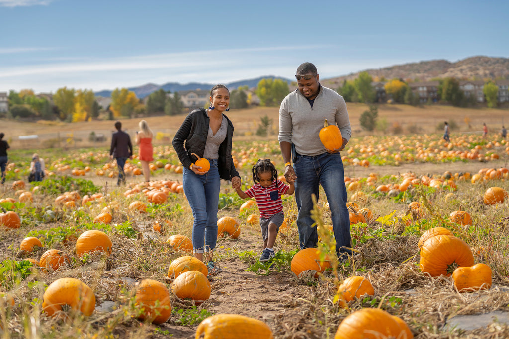 Toronto Fall Fam Guide