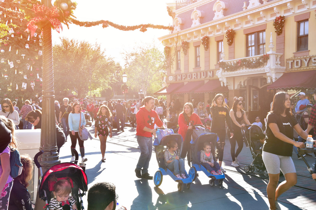Is Your Stroller Disney Approved?
